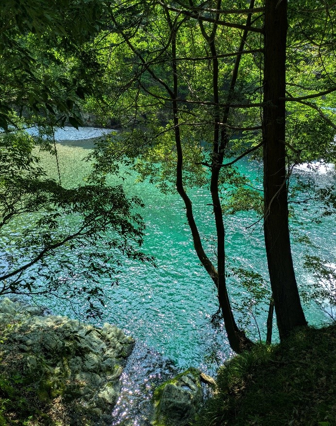 湖